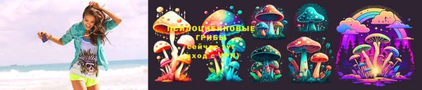 гашик Бугульма