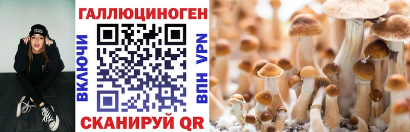Галлюциногенные грибы мицелий блэк спрут ссылки Микунь