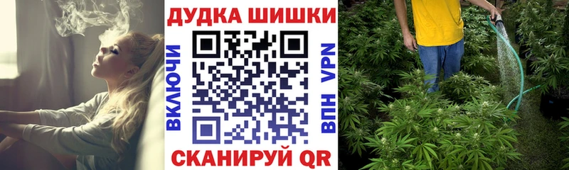 Бошки Шишки план  Микунь 